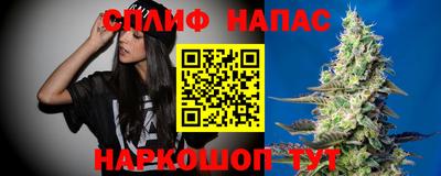 соль ск Можга