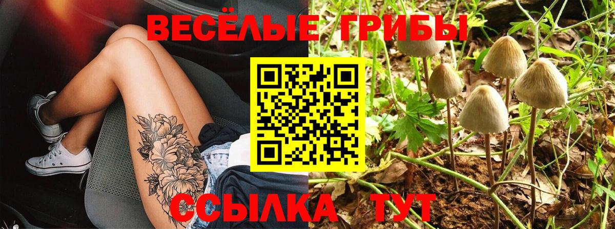 закладки  Галлюциногенные грибы MAGIC MUSHROOMS  Вход с VPN  Чебаркуль  Псилоцибиновые грибы Cubensis 